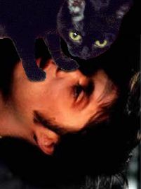 [Cat With Rufus Wainwright]